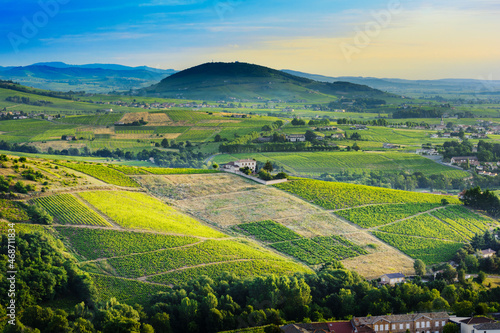 Brouilly hill and vineyards with morning lights in Beaujolais land, France