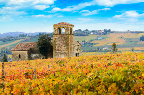 Landscape and colors of Beaujolais at fall