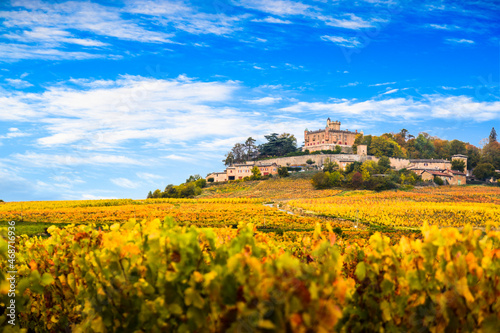 Yellow leaves and castle in Beaujolais land