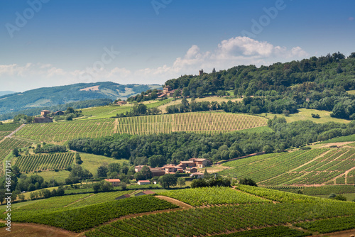 Paysage de vignes et Château de Montmelas, Beaujolais, France