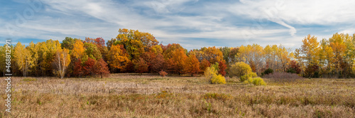 Fall colors over the prairie under blue cloudy skys