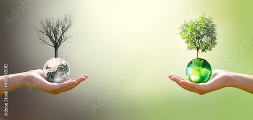 Earth Day or World Environment Day concept, Climate change and global warming theme. Save our Planet and forest, restore and protect green nature. Live and dry tree and globe in hand, choosing future.