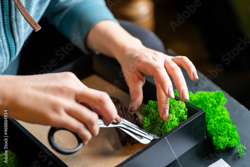 Damskie dłonie tworzące obraz z mchem / Women's hands creating an image with moss