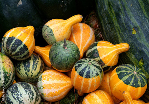 El último lunes de octubre se celebra en Gernika el tradicional mercado agrícola y ganadero más importante del año en el País Vasco