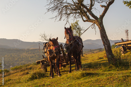 Autumn in Romania