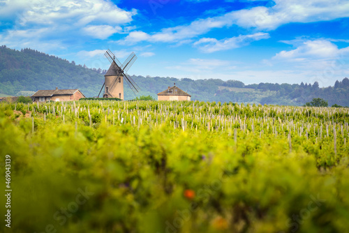 Windmill and vineyards of Moulin-A-Vent, Beaujolais