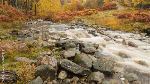  A stream crossing a mountain road.