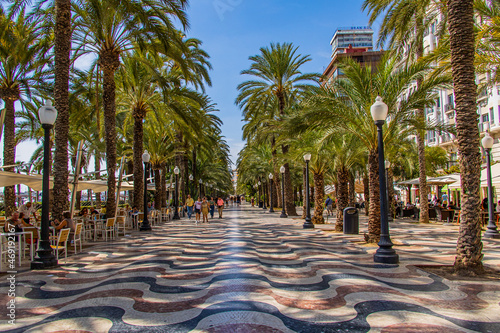 summer landscape with paseo de la explanada alicante in spain