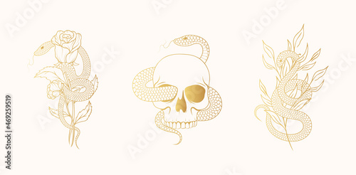 A set of three golden spiritual illustrations with snakes, skull, rose and twig. Floral mystical witchy collection for t-shirt designs, covers, fabric and cards.