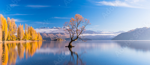 ニュージーランド オタゴ地方の早朝のワナカ湖の湖畔の紅葉で黄色に染まった木々と湖内に立つワナカ・ツリーと後ろに見える南アルプス山脈