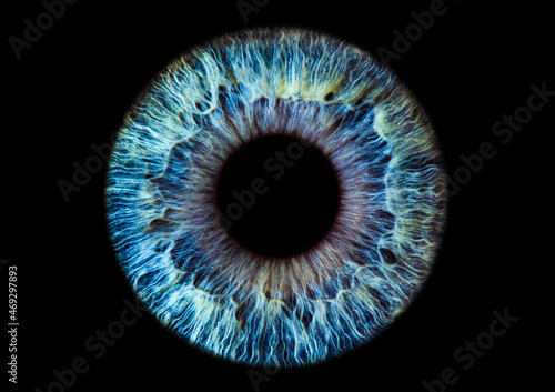 abstract blue eye