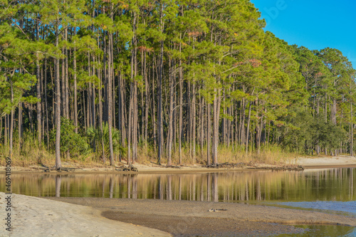 The tree lined beach on Hammock Bay in Freeport, Walton County, Florida