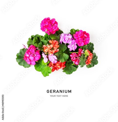 Bouquet of geranium flowers and leaves