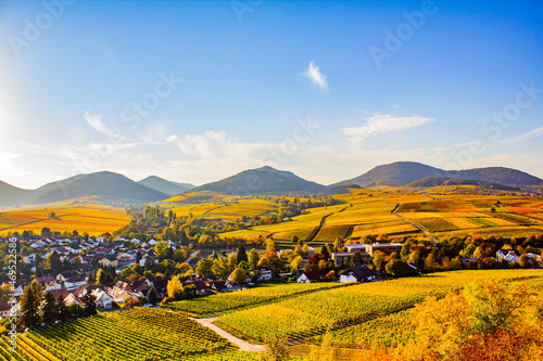 Ausblick von der kleinen Kalmit Südpfalz