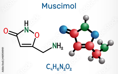 Muscimol, agarin, pantherine molecule. It is the main psychoactive component of the Amanita muscaria, red fly agaric and related species of mushrooms. Structural chemical formula, molecule model