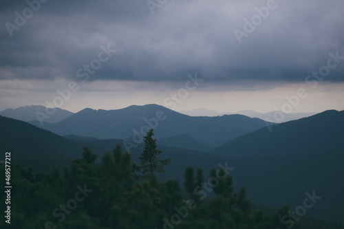 mountain scenery. Carpathians. Carpathian Mountains. mountains overgrown with forests