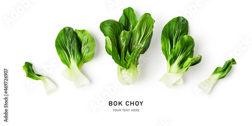 Bok choy collection on white background.