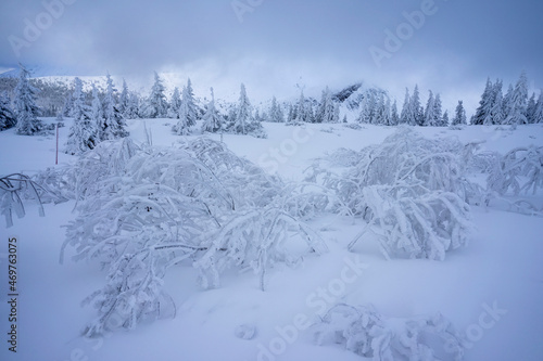 Winter landscape of the Tatra Mountains. Hiking trail to Gasienicowa Valley.