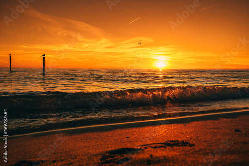 Dog beach sunset