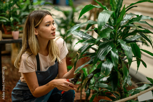 Florist taking care of a plant while using pruning shears