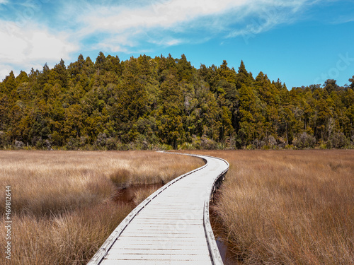 Okarito Boardwalk, West Coast New Zealand