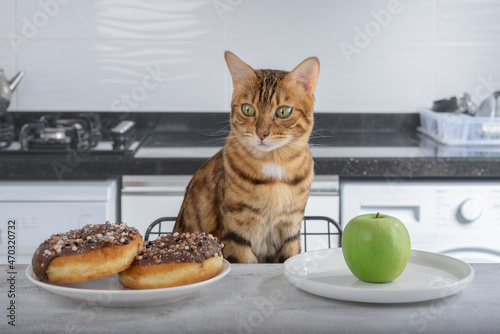 The cat chooses between fruit and donut.