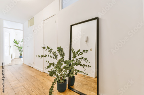 Lovely room with a floor-length mirror and plant