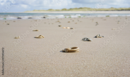 Beach at low tide on the North Sea 