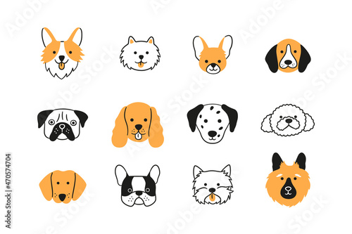 Faces of different breeds dogs set. Corgi, Beagle, Spitz Chihuahua, Terrier, Spaniel, Poodle, Dalmatian. Collection of doodle dog heads. Hand drawn vector illustration isolated on white background.