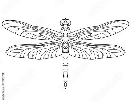 Dragonfly. Outline vector illustration for coloring book. Antistress for adults and children. Elements for print, card, posters