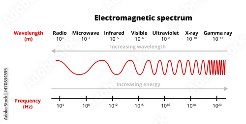 Vector scientific illustration of the electromagnetic spectrum – radio, microwave, infrared, visible, ultraviolet, x-ray, gamma-ray waves isolated on a white background. Frequency and wavelength.