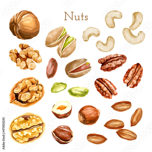 Watercolor nut collection. different types of nuts