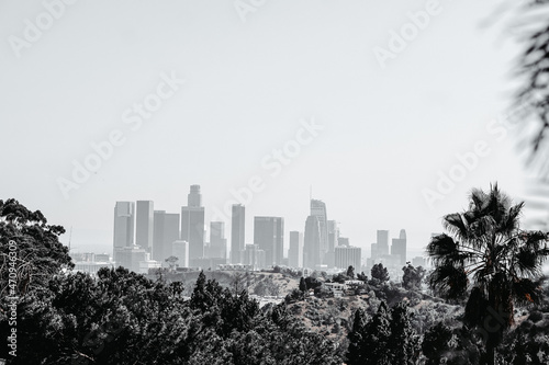 Black and White LA city skyline