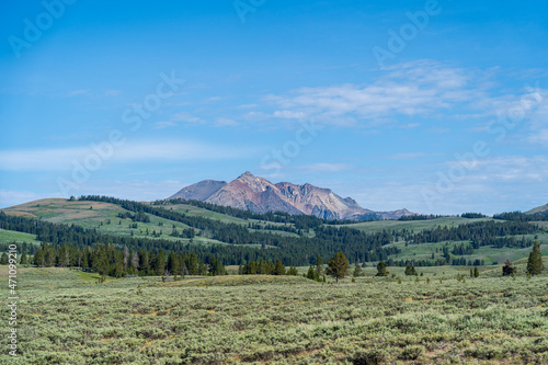 The Lamar Valley of Yellowstone National Park in Wyoming, Montana on a sunny summer morning, with mountains, prairie, sagebrush, and trees
