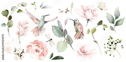 Botanic watercolor set with flowers and birds, leaves eucalyptus. Pink roses, butterfly and Hummingbird