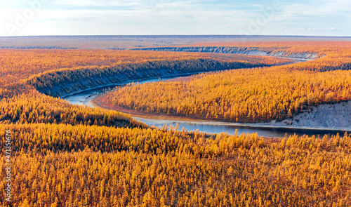 View of the orange Siberian larch taiga in autumn from helicopter.