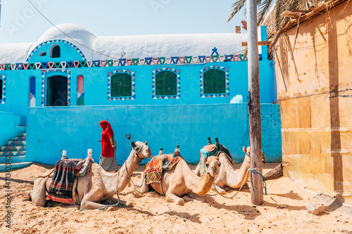 colorful nubian village in aswan, egypt