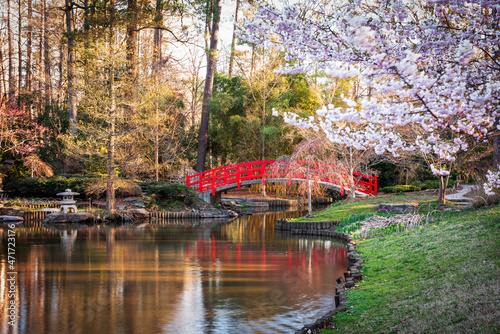 Springtime Gardens