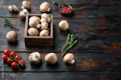 Raw mushrooms champignons, on old dark wooden table background , with space for text copyspace