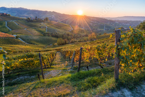 Beautiful sunset with hills and vineyards during fall season near Serralunga d'Alba village. In the Langhe region, Cuneo, Piedmont, Italy.