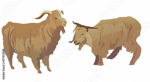 Two goats on the day of atonement, Leviticus 16