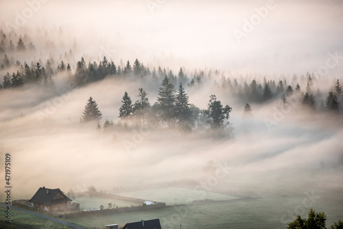 fog in the mountains