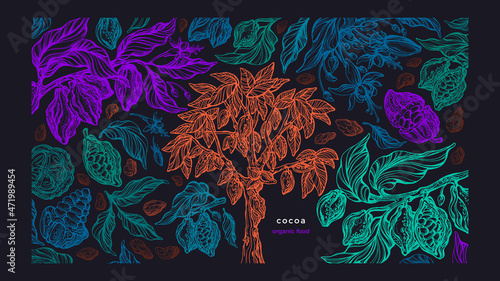 Cocoa forest. Fruit, grain. Vector texture exotic