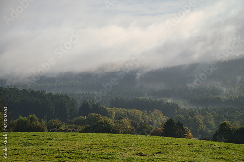 Fog that moves over the forest. Autumn mood in the Saarland.