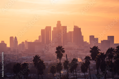 Los Angeles downtown with palm trees during sunset. Los Angeles, California, USA.