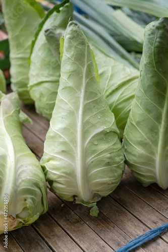 white conic cabbages heap at street market, Stuttgart