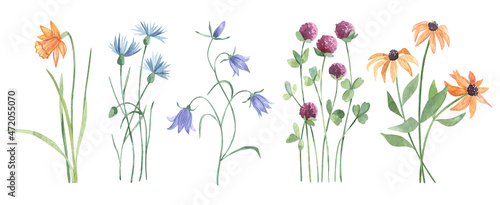 Watercolor botanical collection wild garden flowers. Hand drawn set of centaurea, Clover, Campanulaceae, Iridaceae natural elements. For birthday, wedding card, invitation, greeting, mother day.