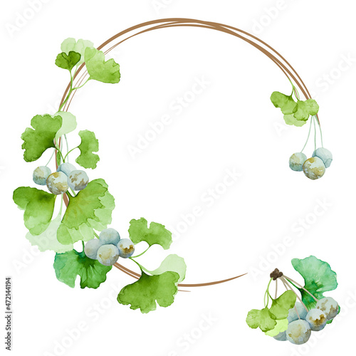 Circle frame with green ginkgo biloba leaves and berries, isolated on a white background. Hand drawn watercolor illustration. Copy space.