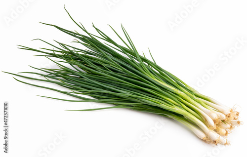 Fresh spring onion isolated on white background, Green onion on White Background.