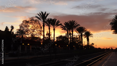 Colorful sunset behind palm trees at the train station